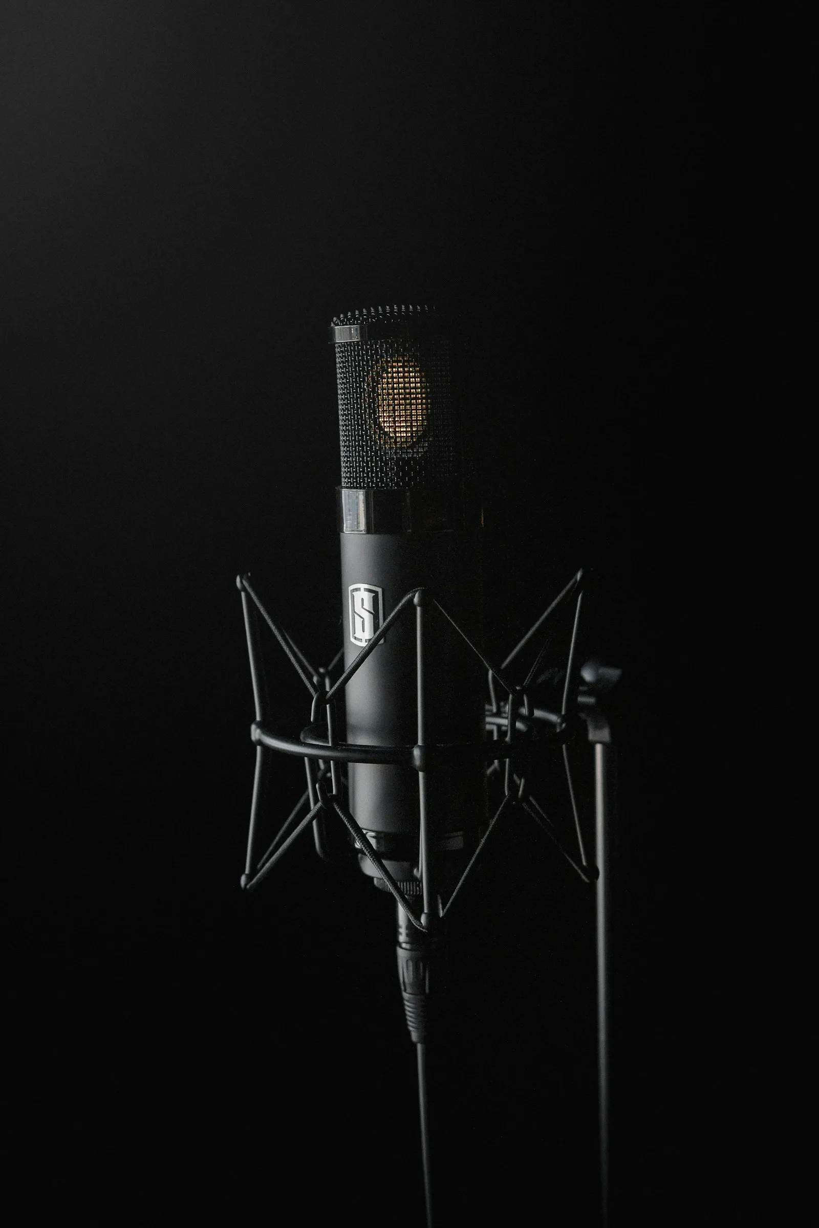Condenser microphone on a stand against a black background